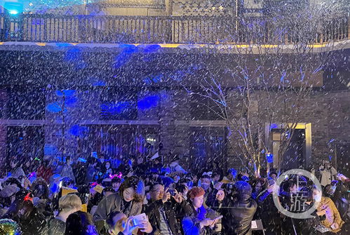 在南滨路的冬夜里，把极光、沸雪和落日还给旧岁